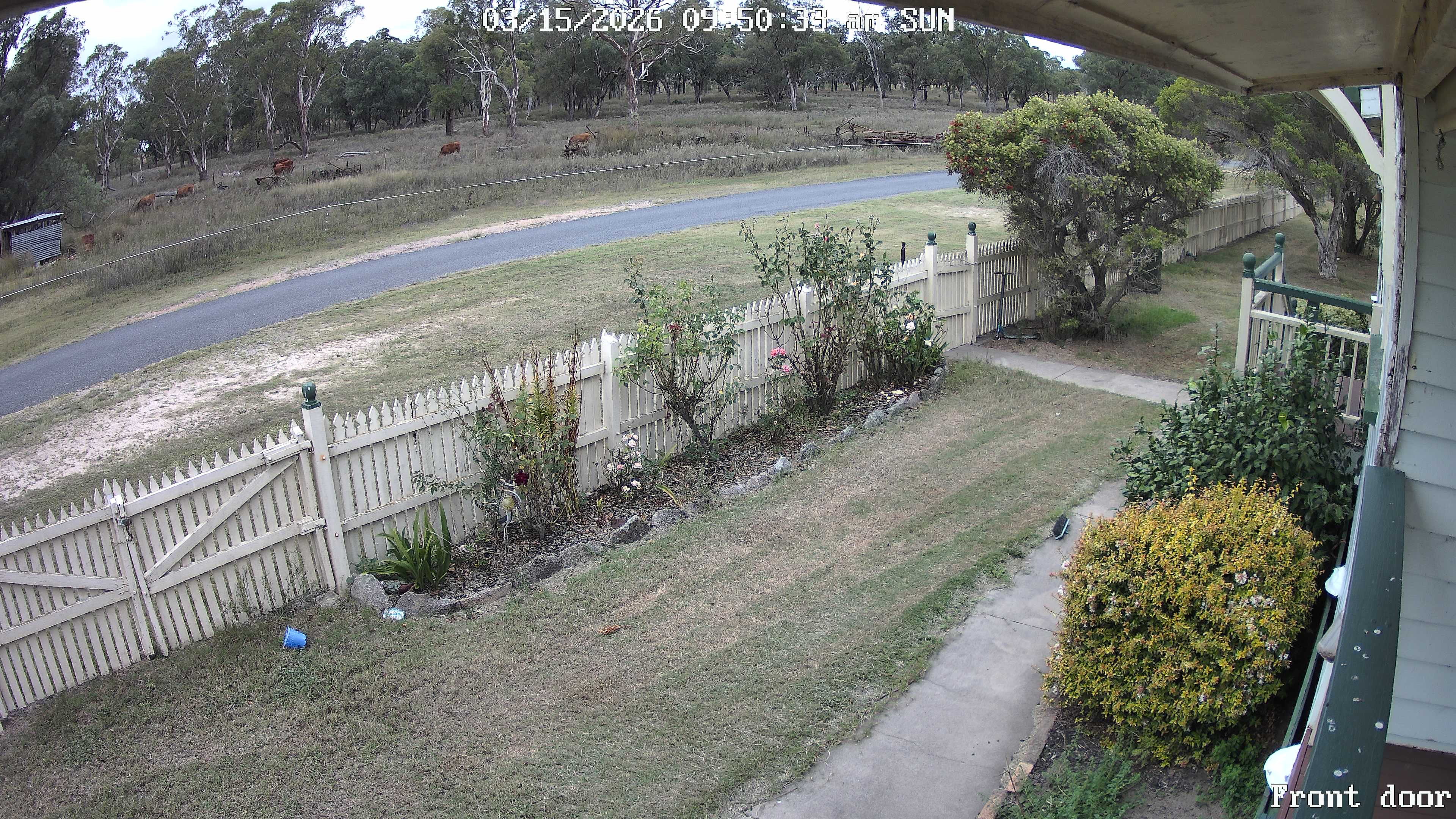 Front door_00_20260315095033.jpg